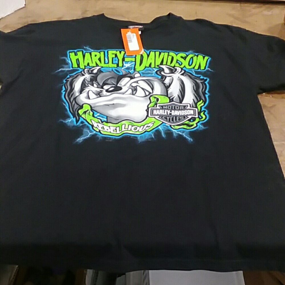 Mens Harley Davidson shirt